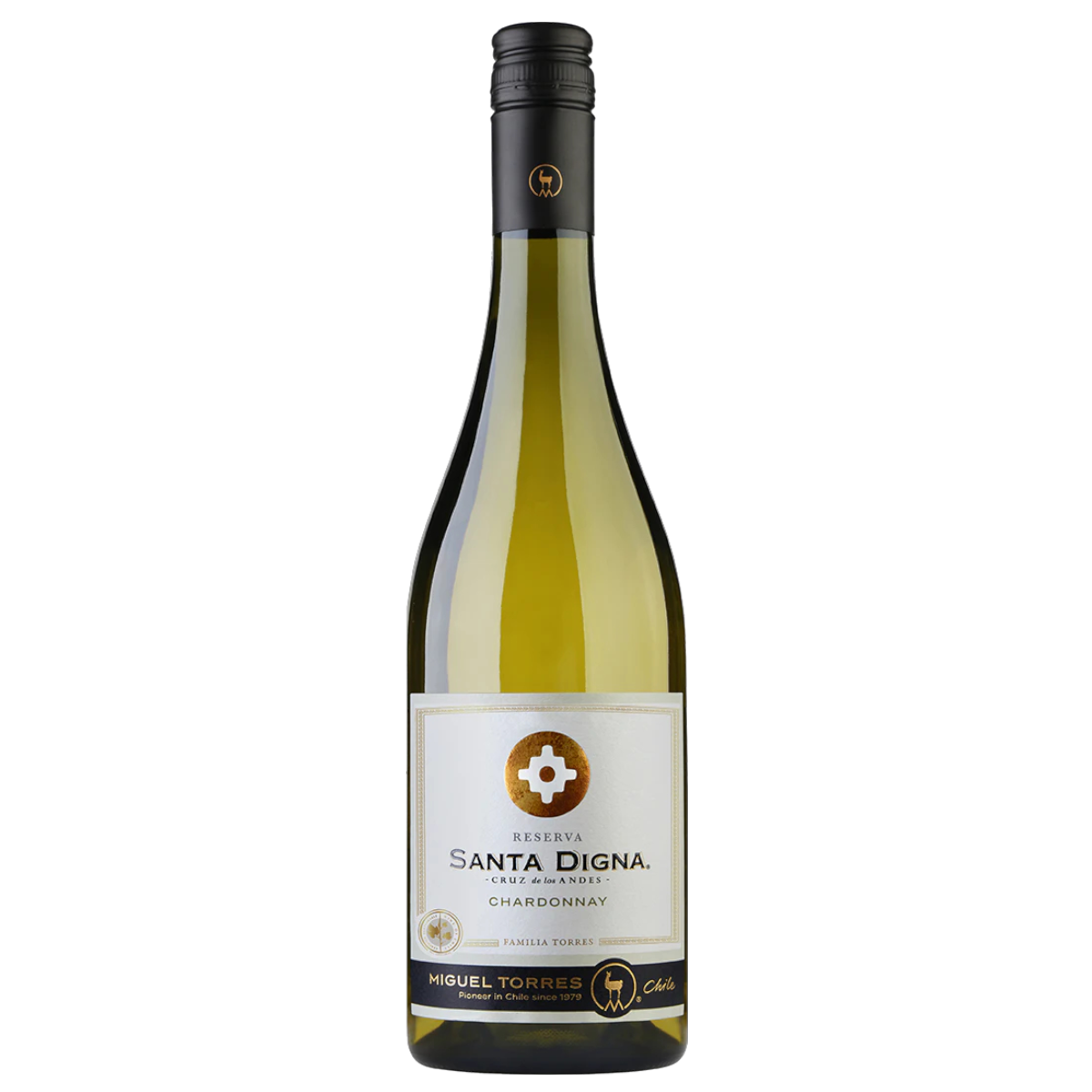 Miguel Torres Santa Digna Chardonnay 750 ml
