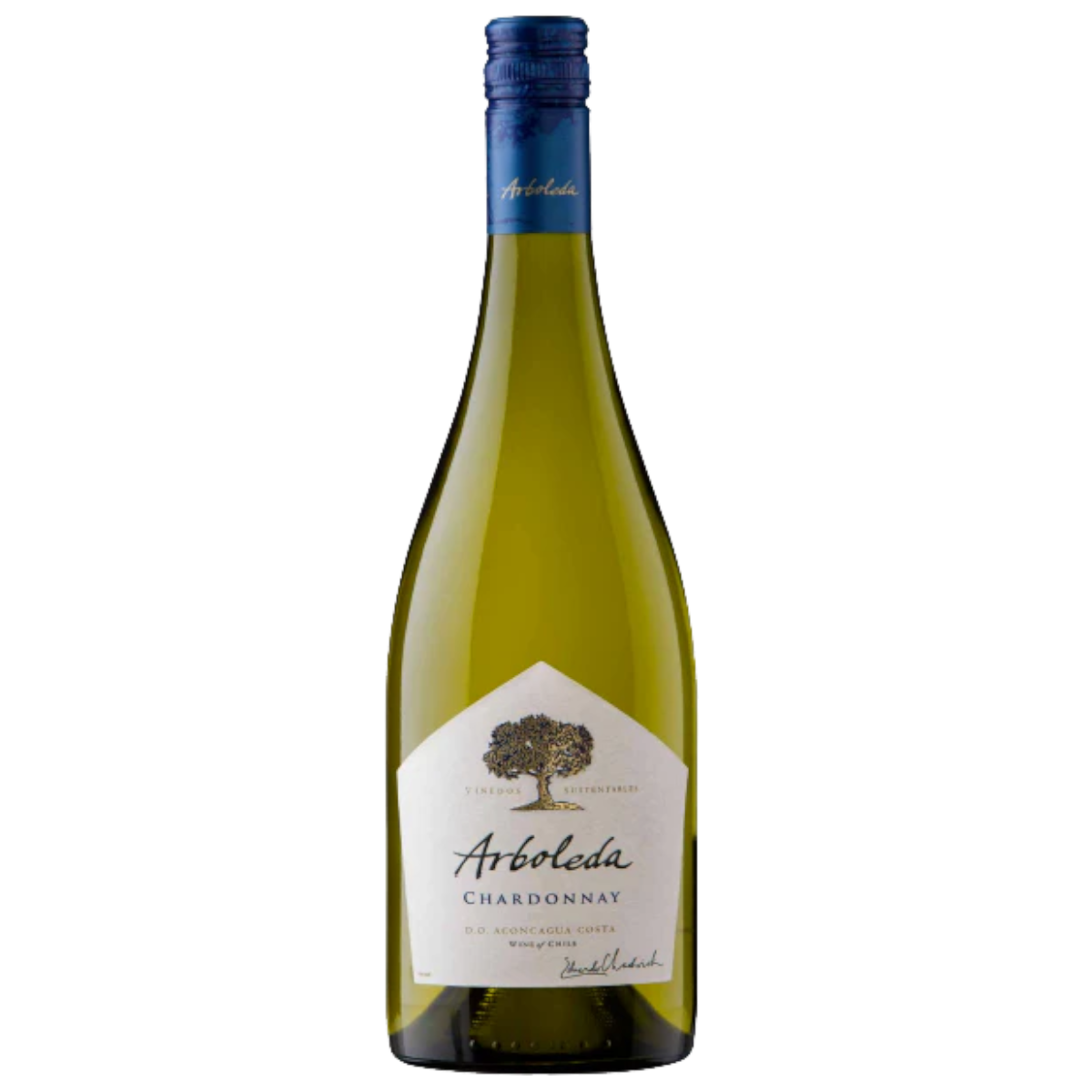 Arboleda Chardonnay 750 ml